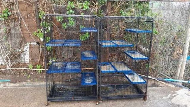 2 jaulas usadas pero en buen estado