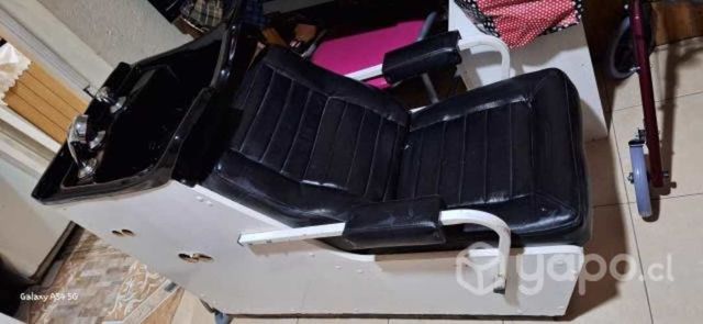 Lavapelo estructural