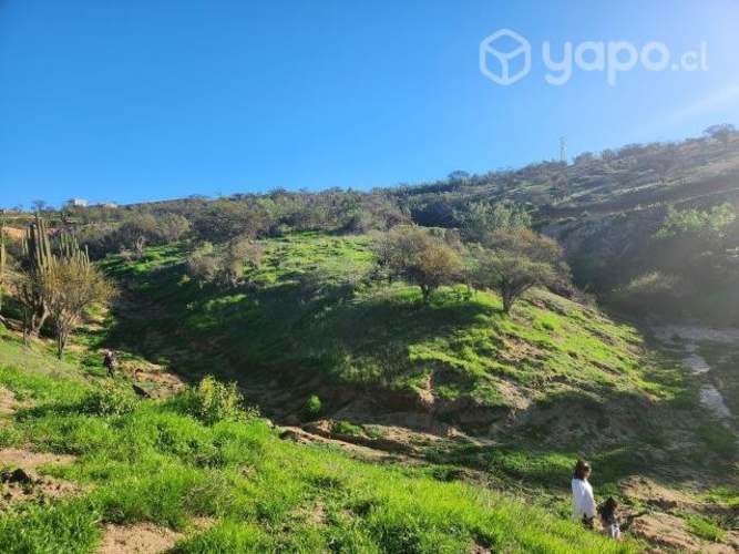 Parcela sector fuerte aguayo