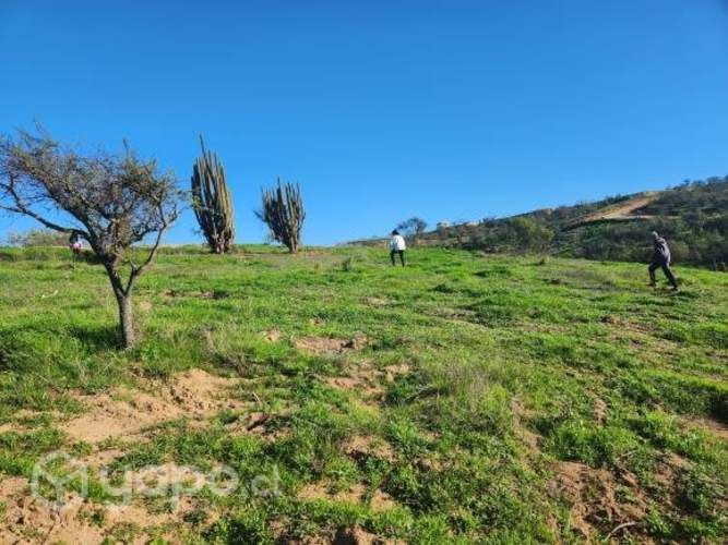 Parcela sector fuerte aguayo