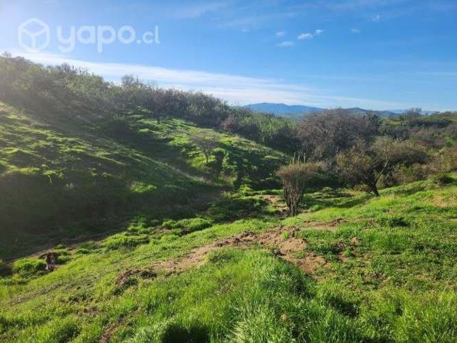 Parcela sector fuerte aguayo