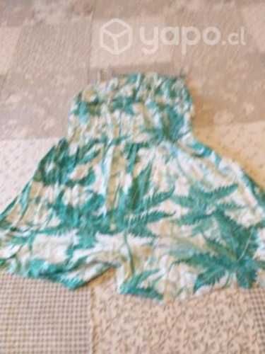 Enterito corto verde