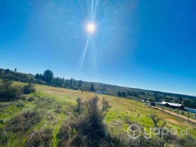 Parcela de 5000 m2 ubicada en Cauquenes