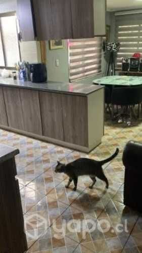 Casa Clara Estrella Lo Espejo