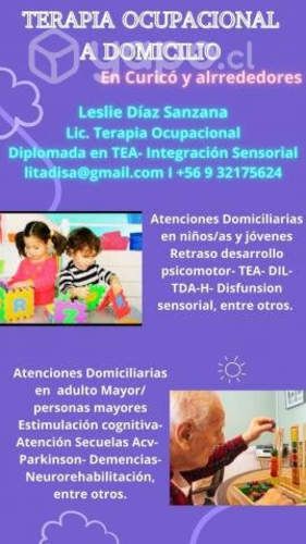 Atenciones Domiciliarias de Terapia Ocupacional