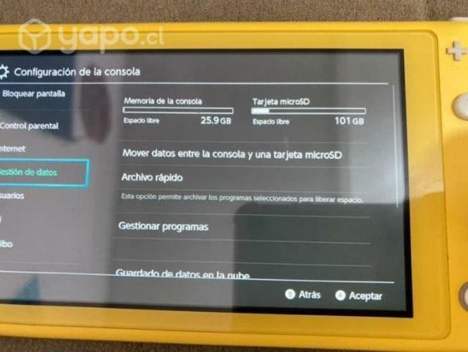 Nintendo Switch Lite