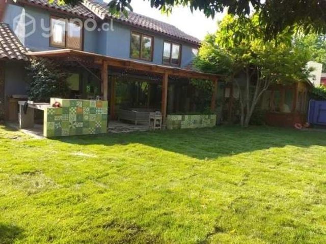 Pasto alfombra premium Natural, venta e instalació