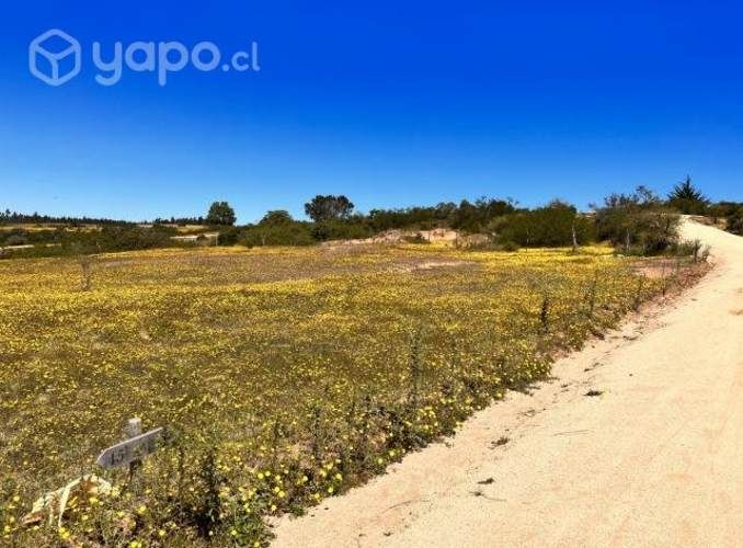 Terreno 5.000m2 7min de Litueche (Condominio)