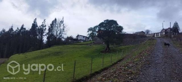 Sitio de 600 m2 aprox