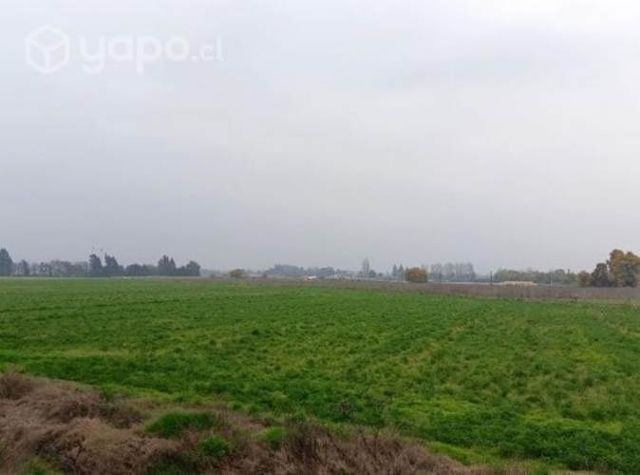 Terreno Agricola con Riego