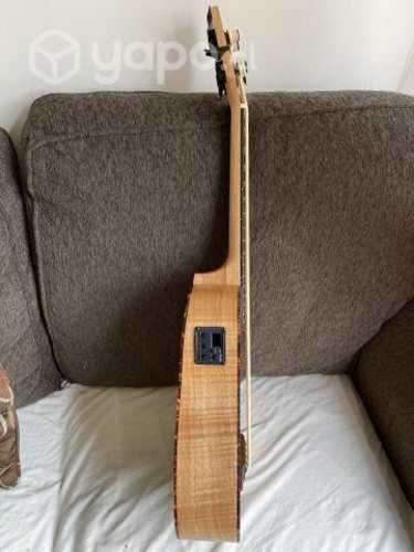 U-Bass Nativa Activo