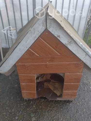 Casa de perro grande