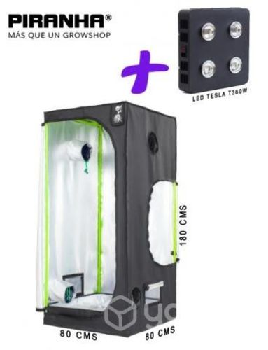 Indoor Piranha + Led Tesla T360w