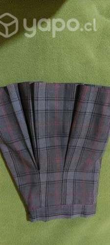 Falda Albert Einstein