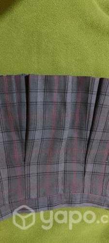 Falda Albert Einstein