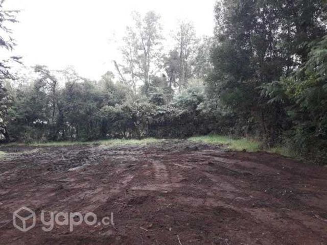 Sitio en coñaripe (no indígena)