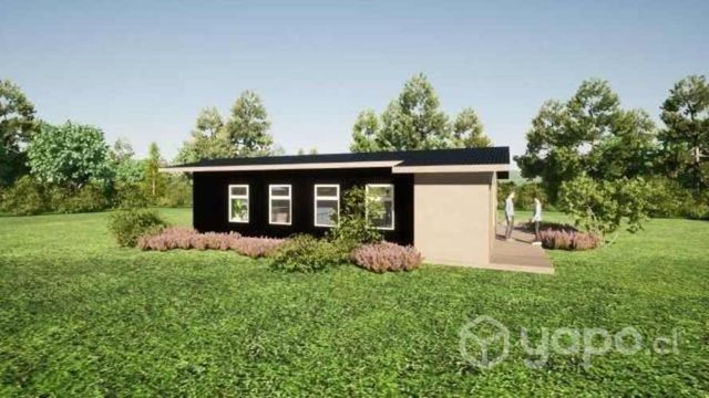 Maestro en carpinteria