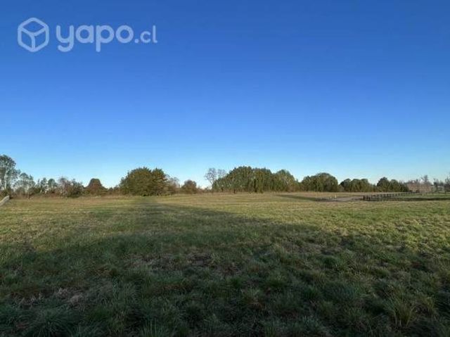 Parcela sector tijeral Osorno, 5.000m2