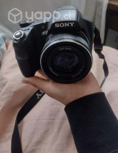 Camara sony