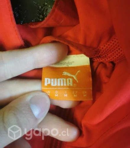 Cortaviento Selección chilena