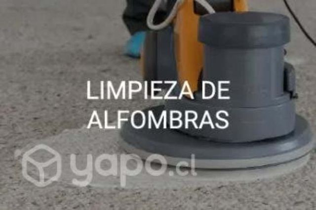 Servicios de limpiezas de tapices y alfombras