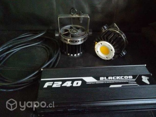 Luces indoor black cob f240