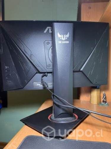 Monitor Asus TUF VG24VQ curvo