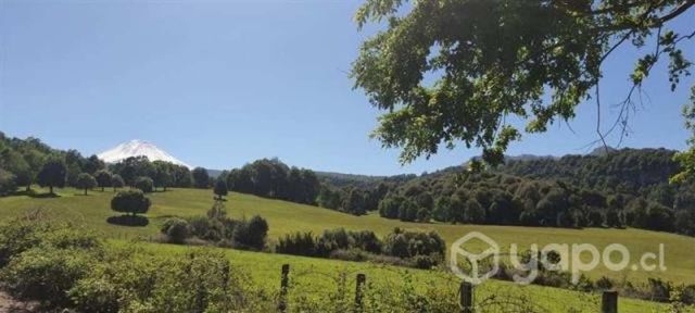 Venta campo sector el indio curacautin