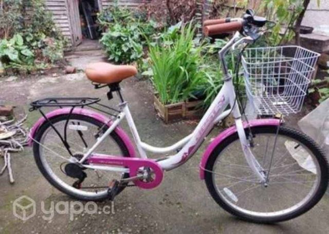 Bicicleta aro 24