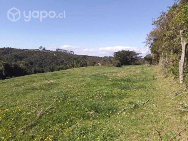 Se vende hectárea de terreno