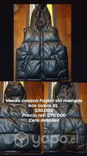 Casaca negra Foster