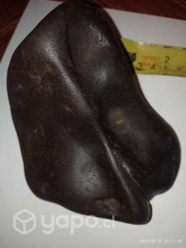 Meteorito acondrita Brachinnita en proceso