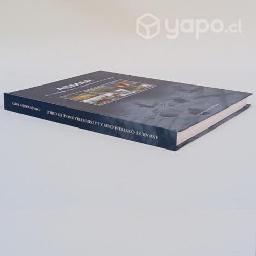 Asmar Industria Naval En Chile Carlos Martin Fritz