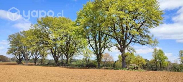 Venta Parcelas Sur de Chile