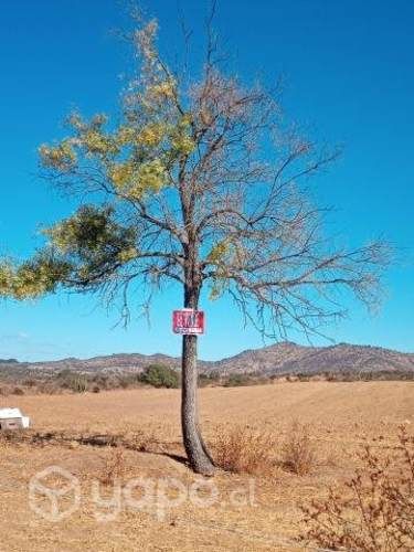 Parcelas (hectáreas)