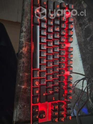 Teclado Gamer Ozone Strike Battle Spectra Mx Red
