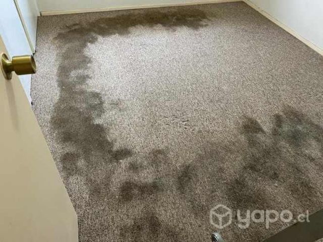 Limpieza alfombras Valdivia y alrededores