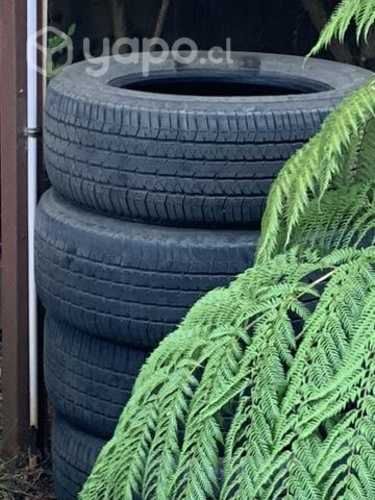 Neumaticos para camioneta