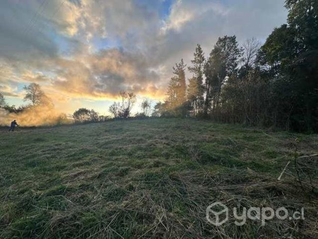 Sitio 1000 m2 - comuna de Panguipulli