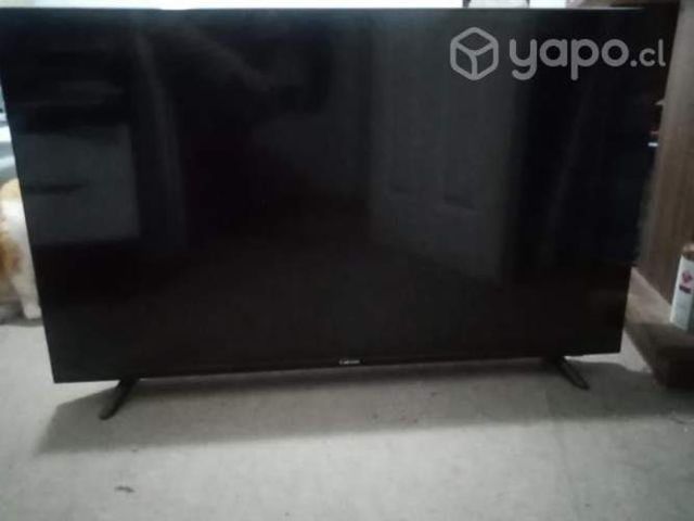 Televisor CAIXUN 43 pulgadas