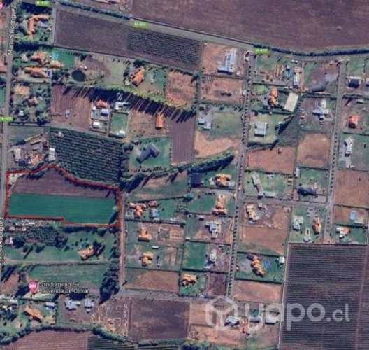 Venta terreno en olivar, región ohiggins