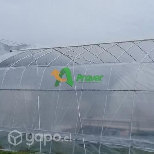 Praver invernadero 120 mts