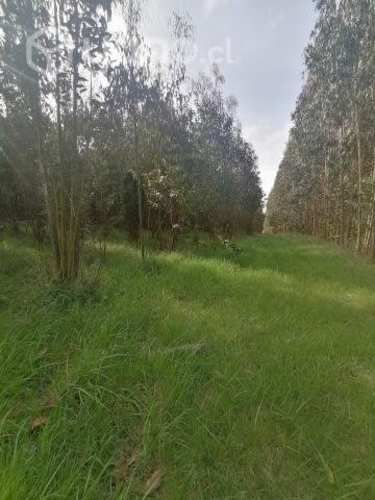 Parcelas 10.000 m2 Novena Región