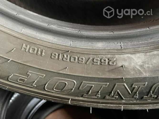 Neumáticos dunlop at