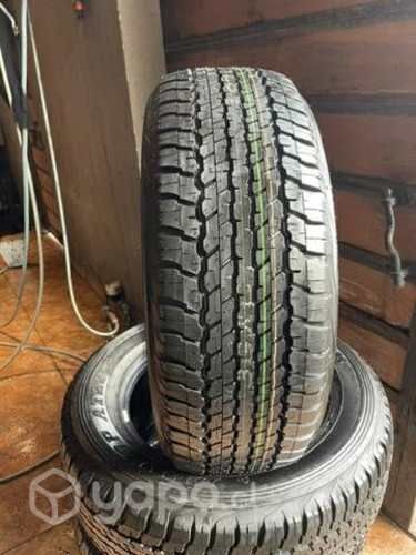 Neumáticos dunlop at