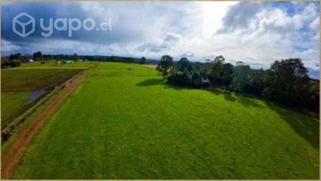 Parcelación los muermos