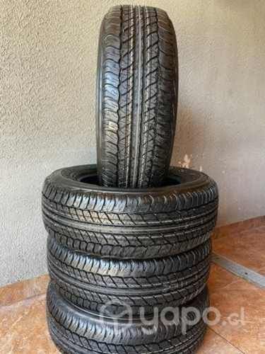 Neumáticos dunlop at