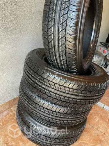 Neumáticos dunlop at