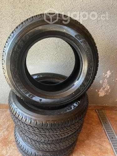 Neumáticos dunlop at