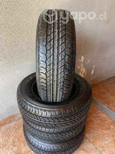 Neumáticos dunlop at